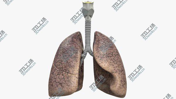 images/goods_img/20210312/3D Respiratory System model/2.jpg